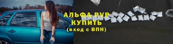 спиды Карталы